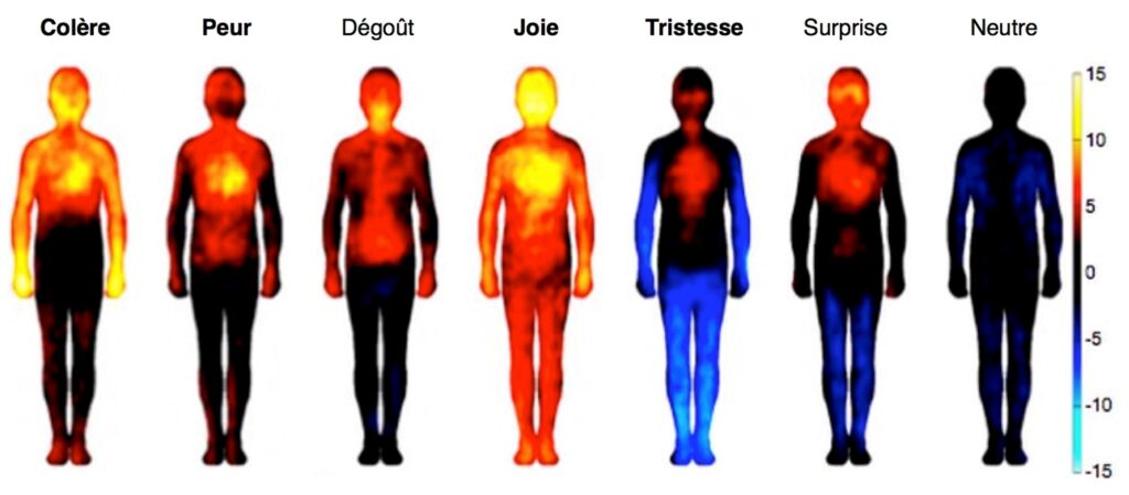 Thermographie des émotions